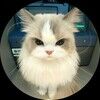 lolacabot417